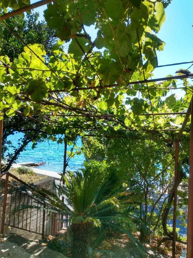 טיווט Olive Tree Apartments מראה חיצוני תמונה