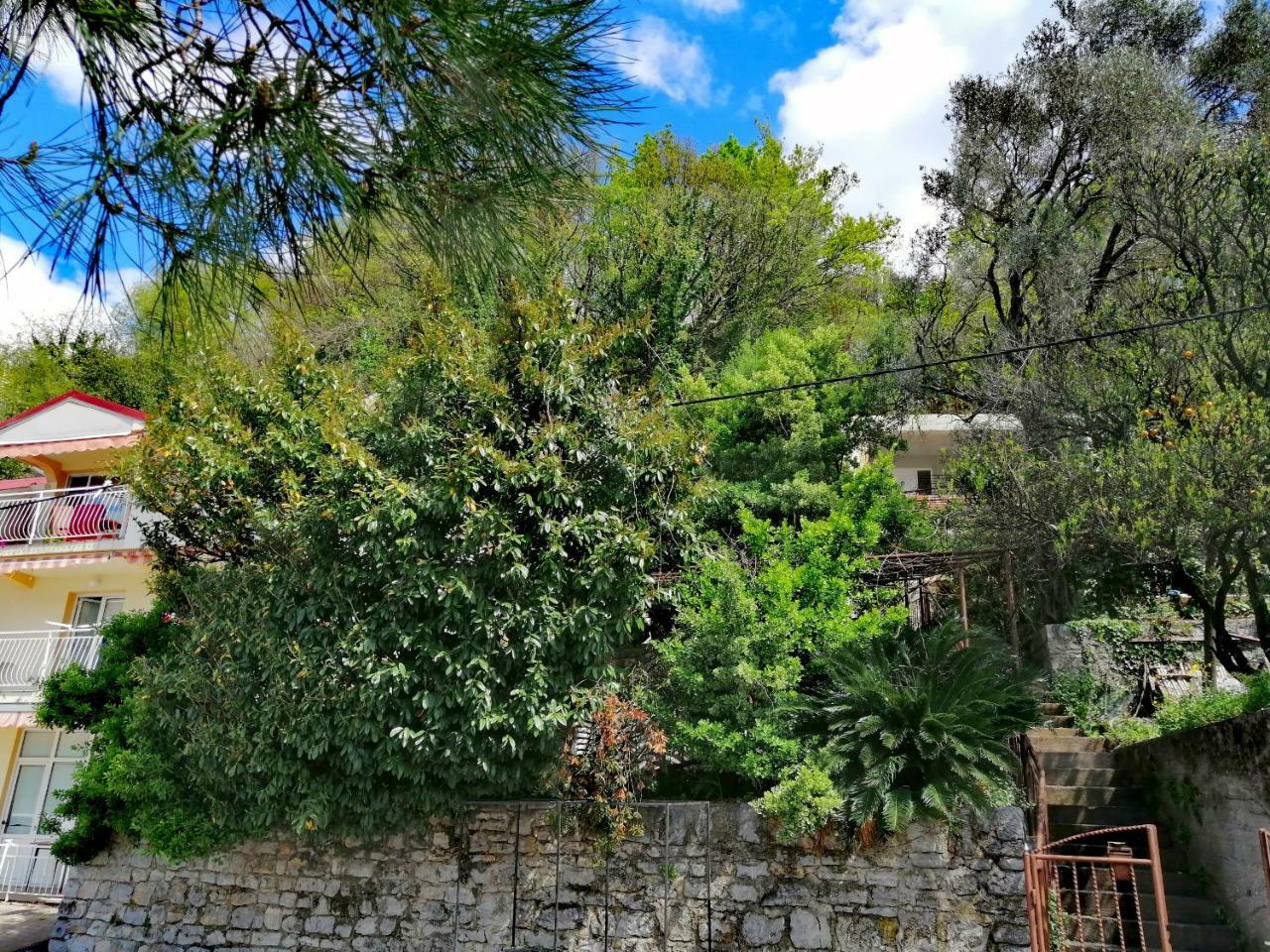 טיווט Olive Tree Apartments מראה חיצוני תמונה